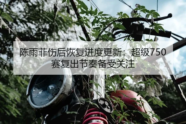 陈雨菲伤后恢复进度更新:超级750赛复出节奏备受关注